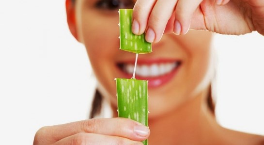 Công dụng của nha đam với sức khỏe như thế nào