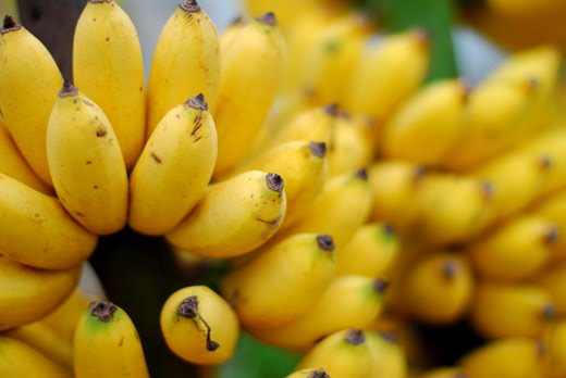 Công dụng của quả chuối với sức khỏe con người như thế nào