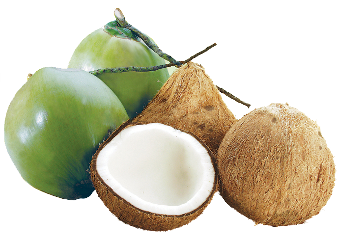 Công dụng của quả dừa với sức khỏe con người như thế nào