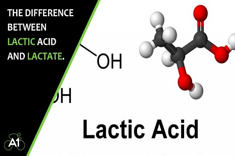 Công dụng của quả măng cụt với sức khỏe con người như thế nào