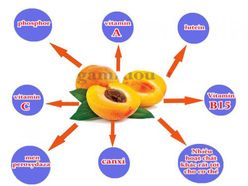 Công dụng của quả mơ với sức khỏe như thế nào