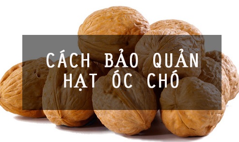 Công dụng của quả óc chó với sức khỏe con người như thế nào
