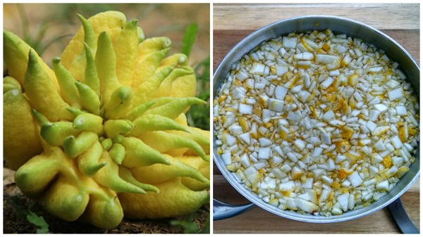 Công dụng của quả phật thủ với sức khỏe con người như thế nào