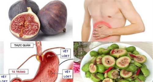 Công dụng của quả sung với sức khỏe con người như thế nào