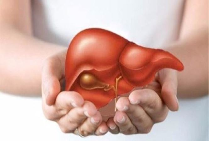 công dụng của rau dền gai với sức khỏe con người như thế nào