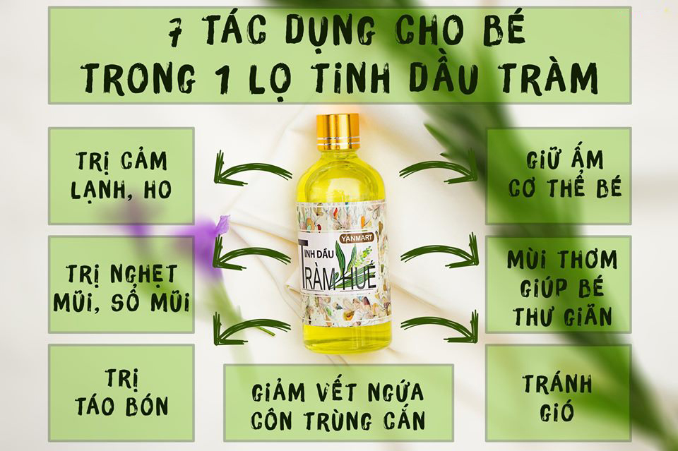 Công dụng của tinh dầu tràm với sức khỏe con người như thế nào