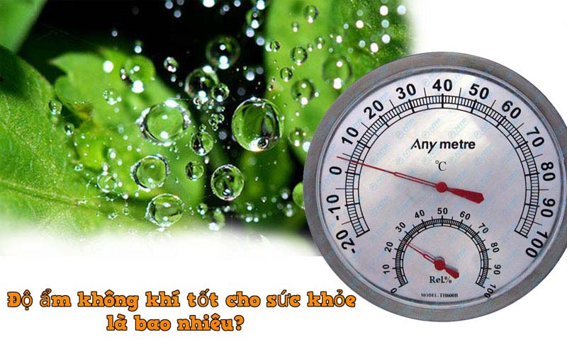 Độ ẩm không khí bình thường là bao nhiêu?