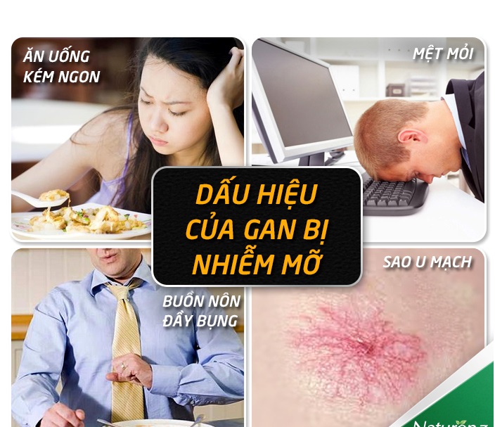 Gan nhiễm mỡ nên ăn gì tốt cho bệnh