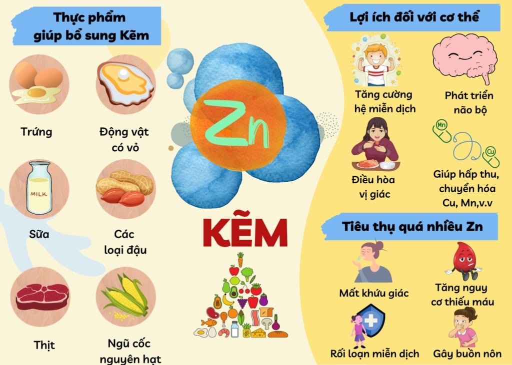 Kẽm có tác dụng gì với sức khỏe con người