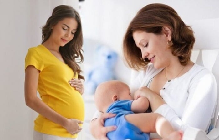 Lá sen có tác dụng gì với sức khỏe con người