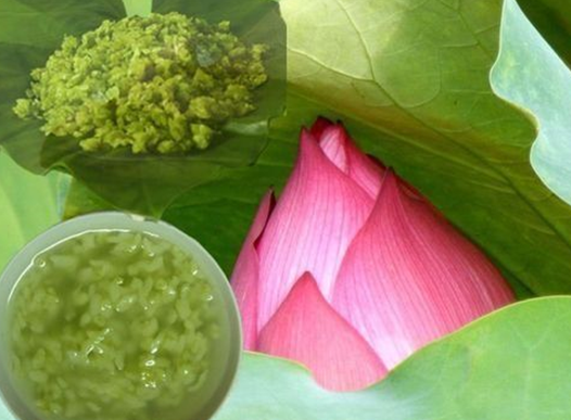 Món ăn nài thuốc tốt cho tim mạch vành