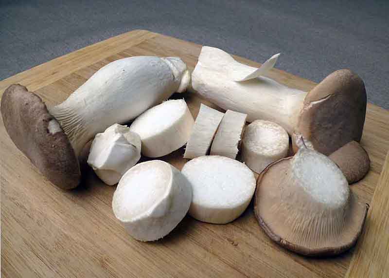 Nấm đùi gà có tác dụng gì