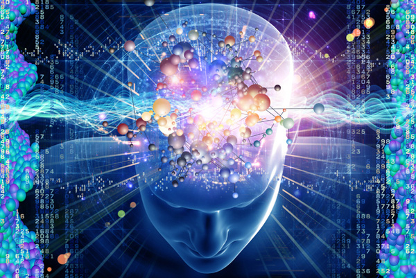 Top 4 loại thực phẩm chức năng bổ não của Mỹ tốt nhất hiện nay