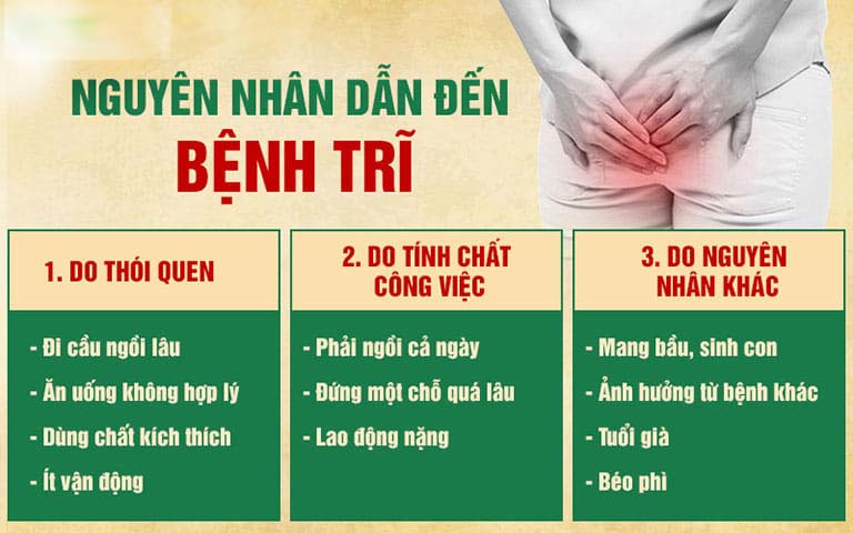 Nguyên nhân bị bệnh trĩ nội là gì và cách phòng tránh ra sao