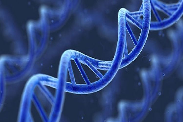 Nguyên nhân gây ung thư tủy là gì và cách phòng bệnh ra sao