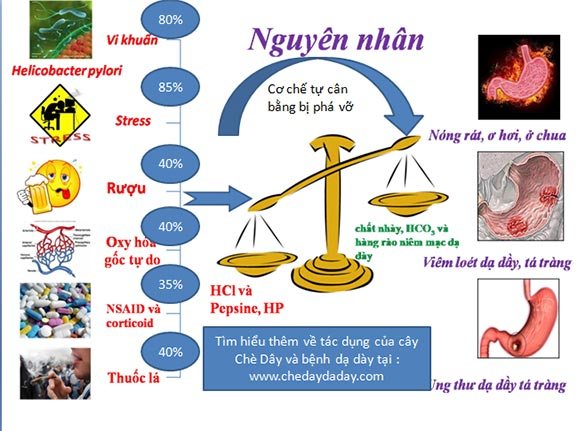 Nguyên nhân viêm loét dạ dày là gì và cách phòng bệnh ra sao