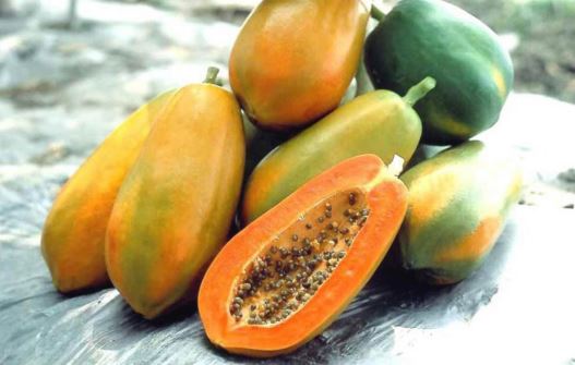 Những loại trái cây làm mát gan thanh lọc cơ thể