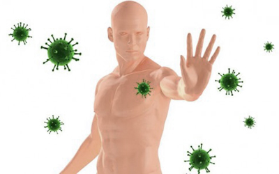 Sữa ong chúa tươi giá bao nhiêu và mua ở đâu