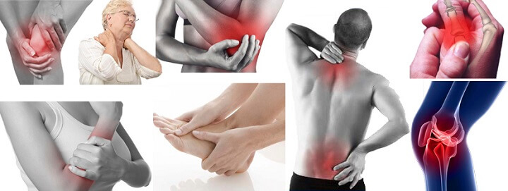 Sụn cá mập giá bao nhiêu