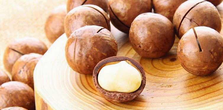 Tác dụng của hạt macca như thế nào