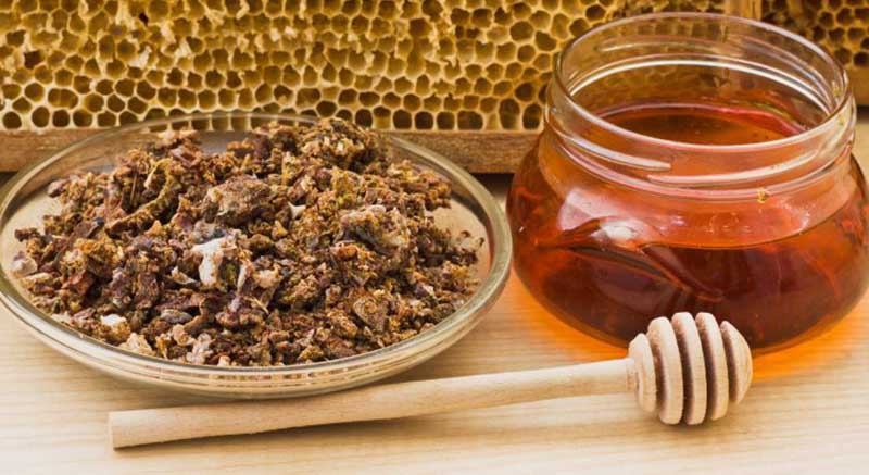 Tác dụng của keo ong với sức khỏe con người như thế nào