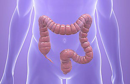 Tác dụng của lá đu đủ đực thực chất là gì