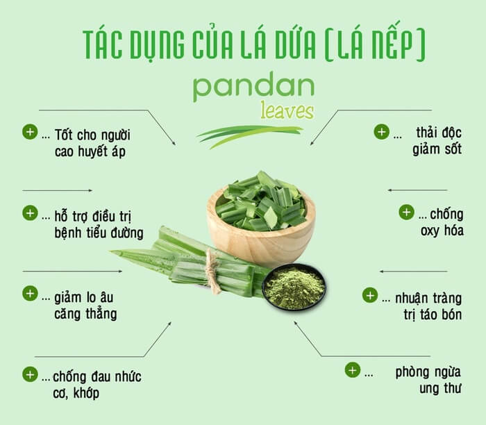 Tác dụng của lá nếp thơm với sức khỏe con người như thế nào