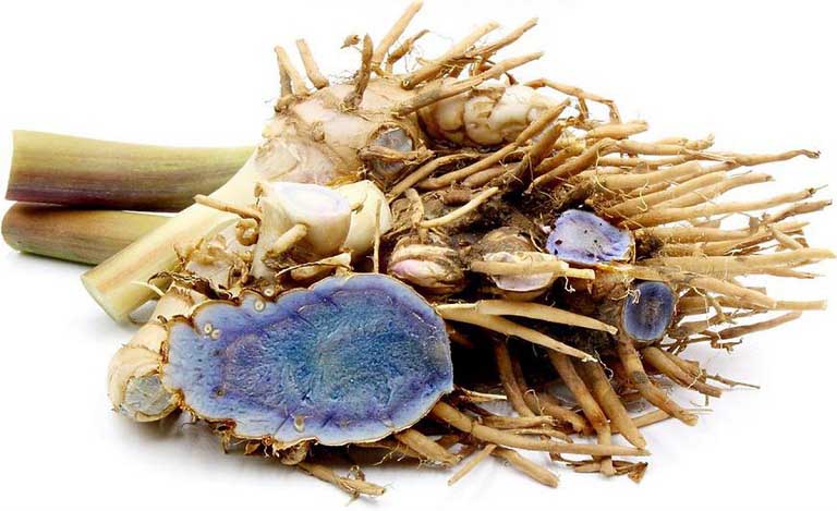 Tác dụng của nghệ đen với sức khỏe con người như thế nào