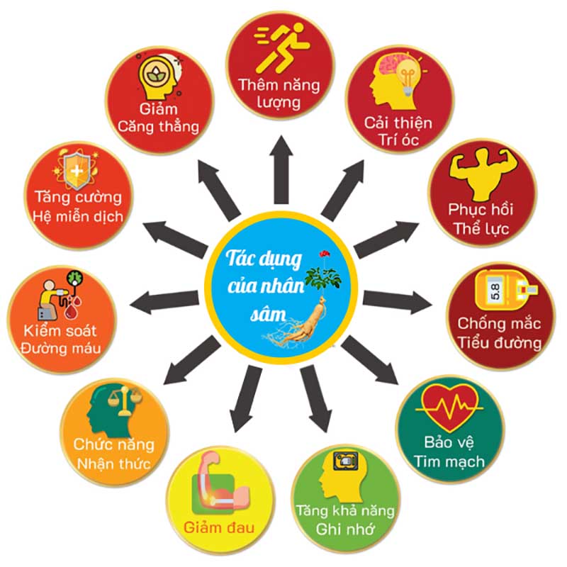 Tác dụng của nhân sâm với sức khỏe con người như thế nào