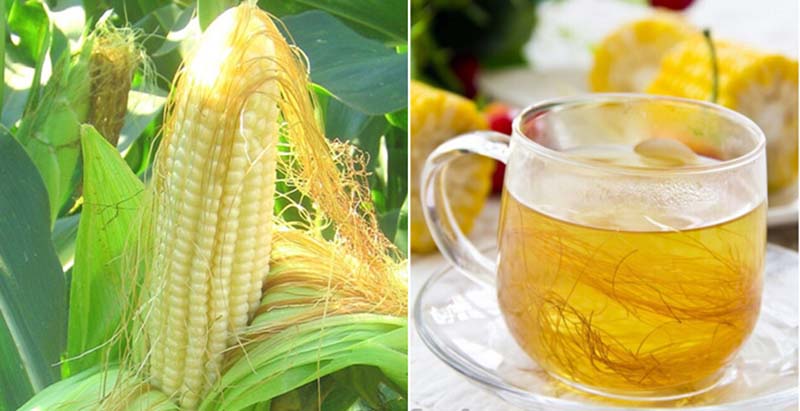 Tác dụng của râu bắp với sức khỏe con người như thế nào