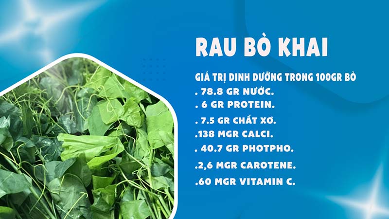 Tác dụng của rau bò khai với sức khỏe con người như thế nào