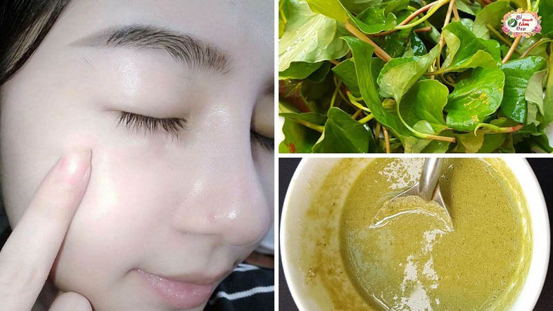 Tác dụng của rau diếp cá với da mặt như thế nào