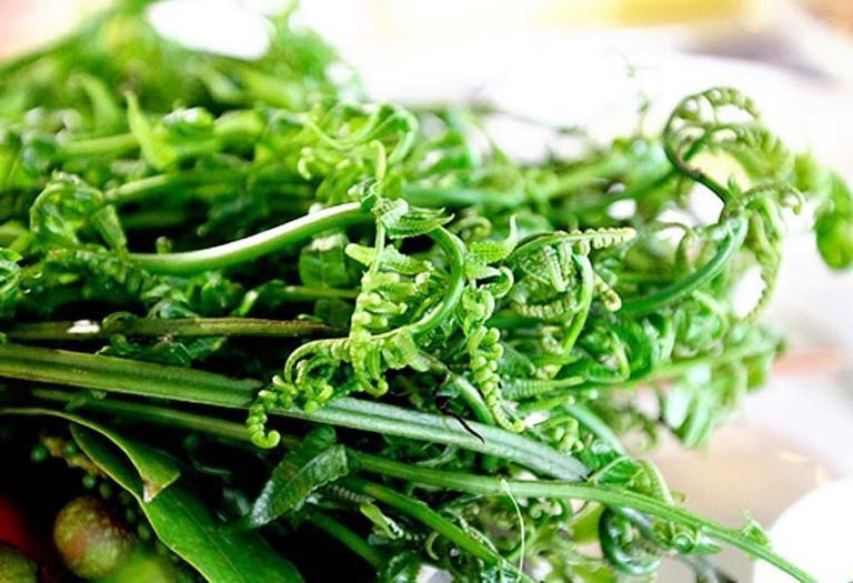 Tác dụng của rau dớn với sức khỏe con người như thế nào