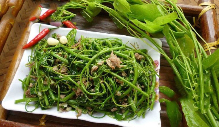 Tác dụng của rau dớn với sức khỏe con người như thế nào