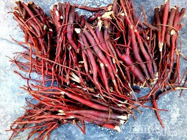 Thảo dược tăng cường sinh lý nam an toàn hiệu quả