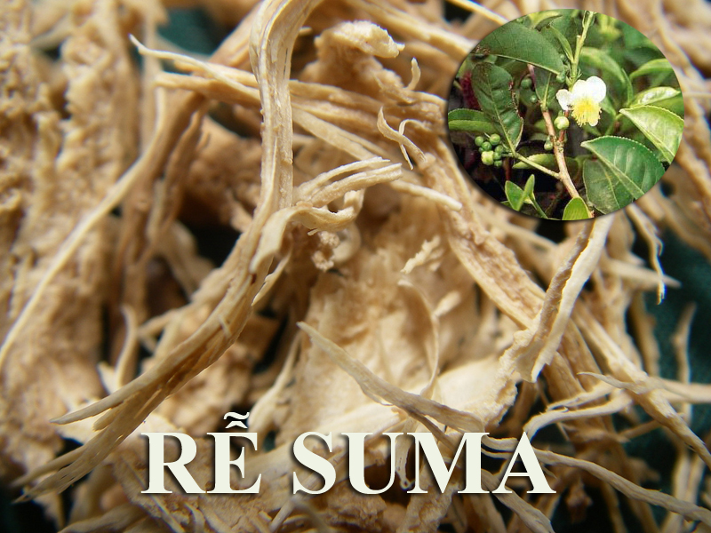 Thảo dược tăng cường sinh lý nữ là những loại nào