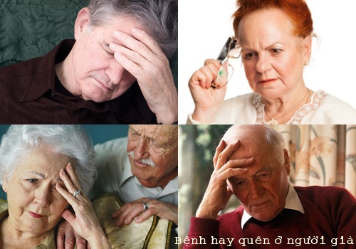 Thuốc cho người già hay quên loại nào tốt