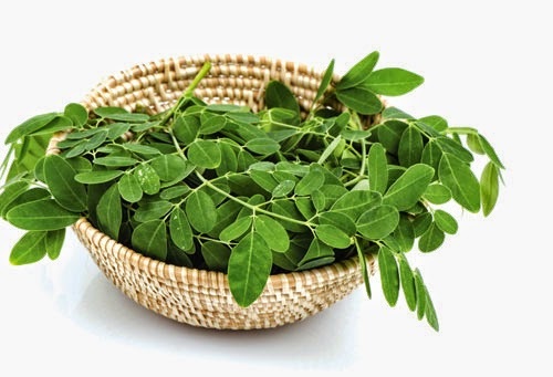 Thuốc nam trị nám tàn nhang an toàn hiệu quả