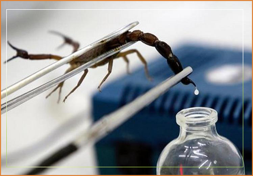 Vidatox chính hãng và vidatox xách tay loại nào tốt hơn