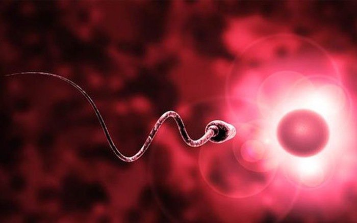 Tinh trùng yếu có thụ thai được không