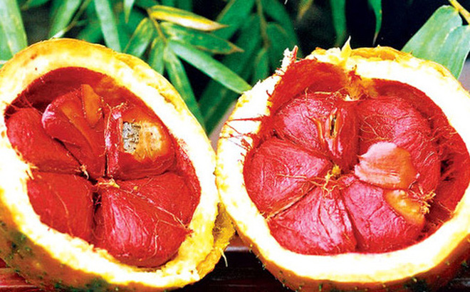 Trái cây bổ mắt tăng cường thị lực nên ăn loại nào