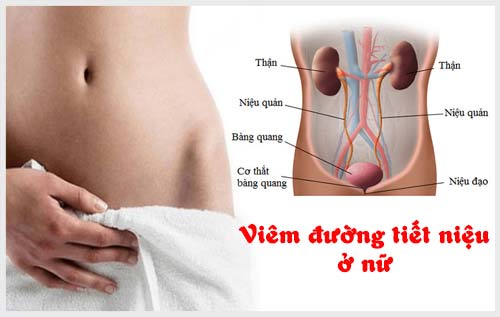 Triệu chứng viêm đường tiết niệu ở nữ như thế nào