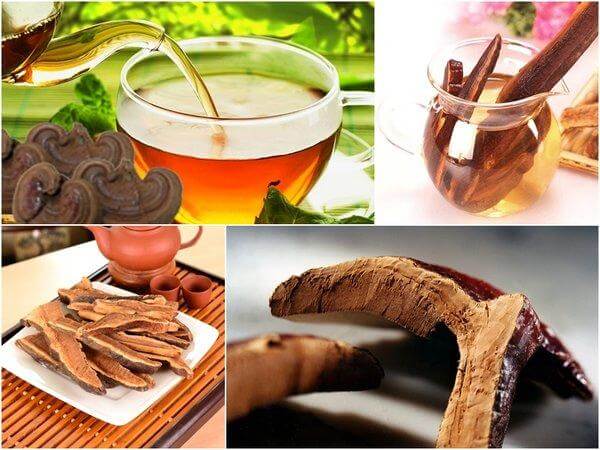 Uống nấm linh chi nhiều có tốt không và cách dùng hiệu quả