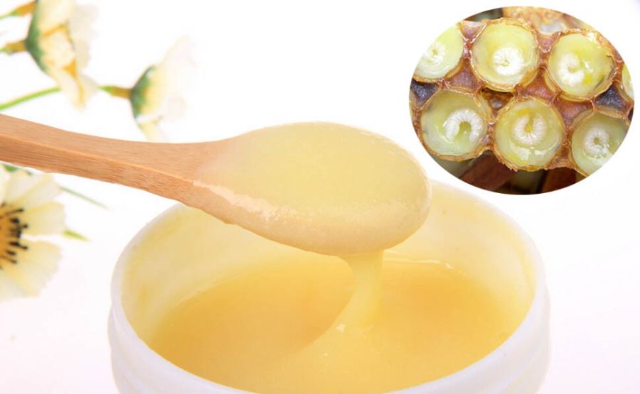 Uống sữa ong chúa có tăng cân không và cách uống hiệu quả nhất