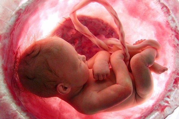 Viêm gan c có chữa được không và cách phòng bệnh như thế nào