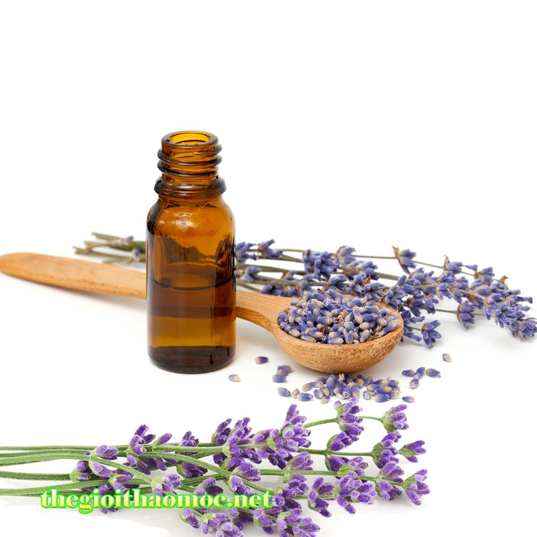 Tinh dầu lavender