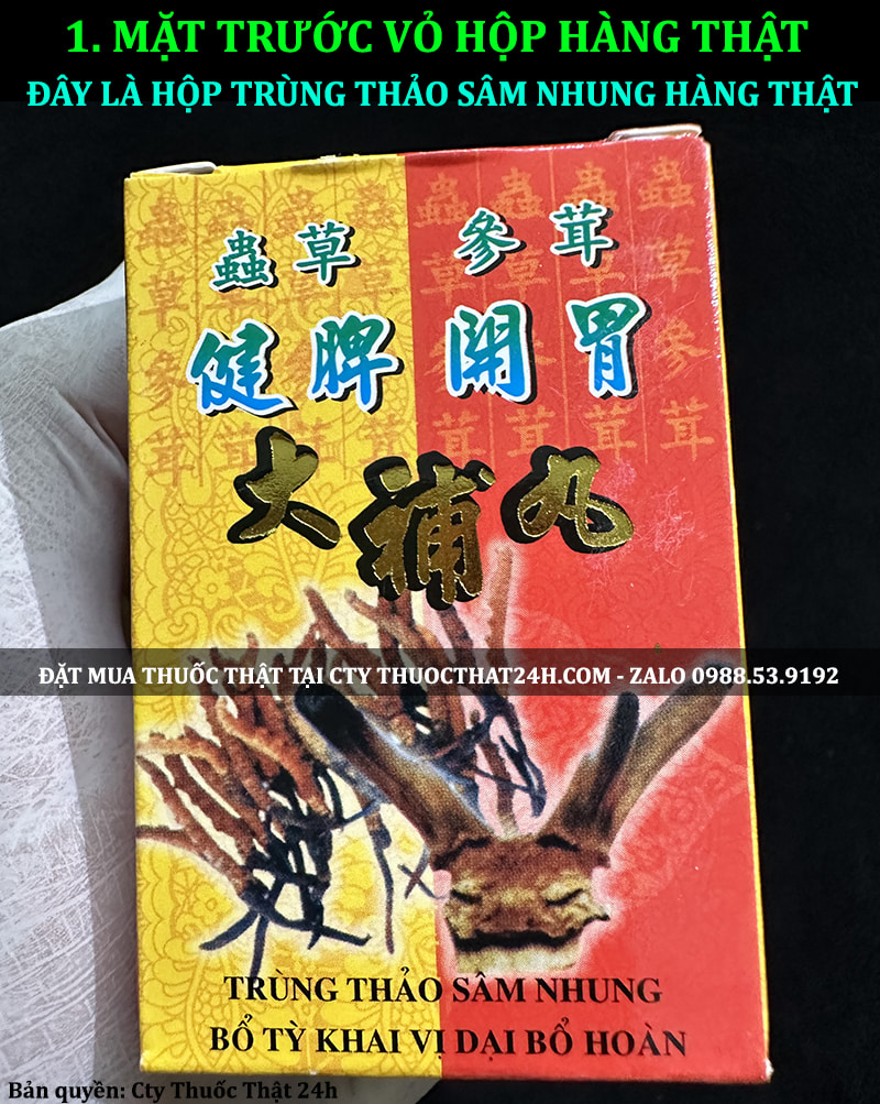THUỐC TĂNG CÂN TRÙNG THẢO SÂM NHUNG NHẬP CHÍNH HÃNG MALAYSIA