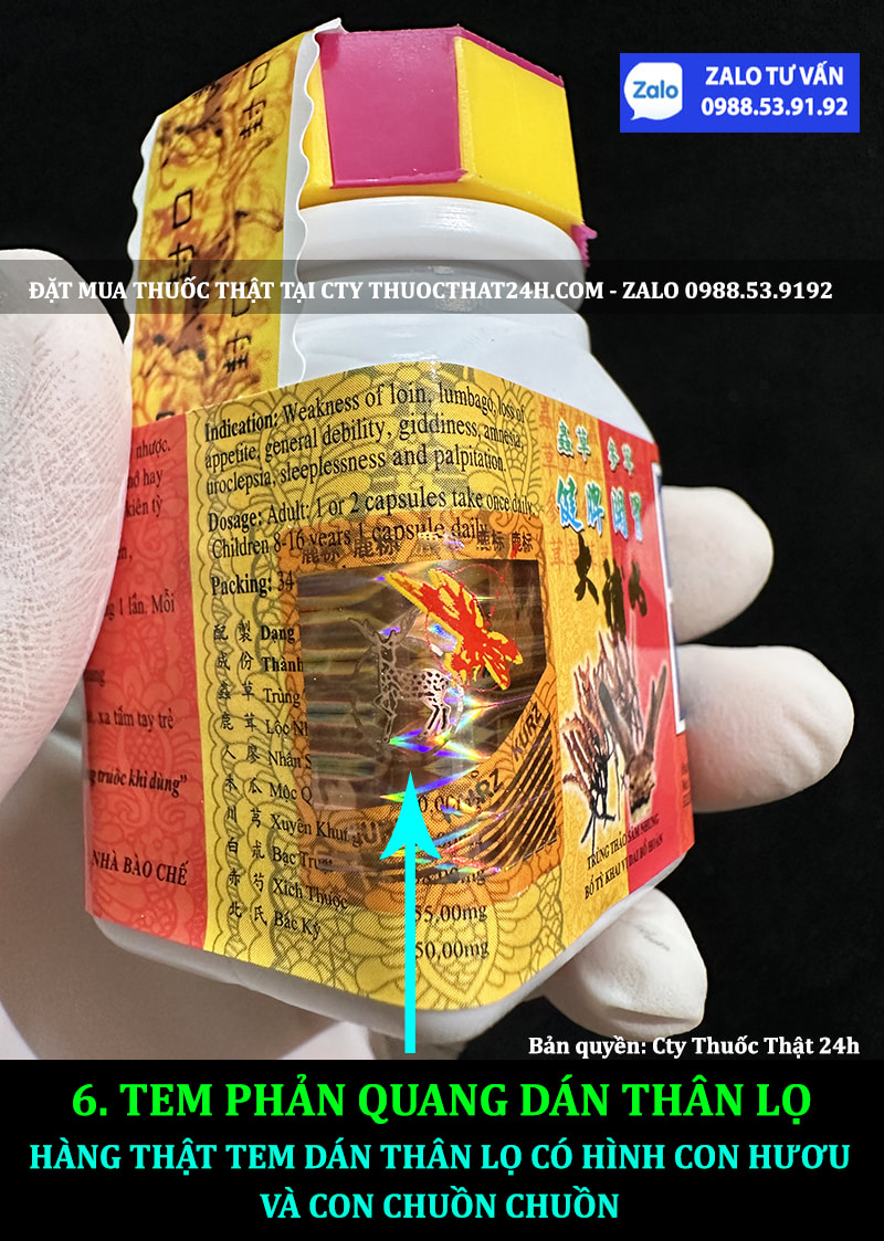THUỐC TĂNG CÂN TRÙNG THẢO SÂM NHUNG NHẬP CHÍNH HÃNG MALAYSIA