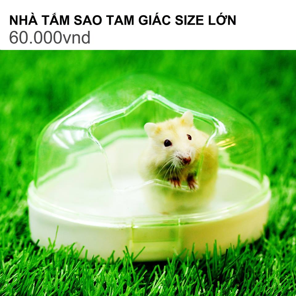 NHÀ TẮM SAO TAM GIÁC SIZE LỚN