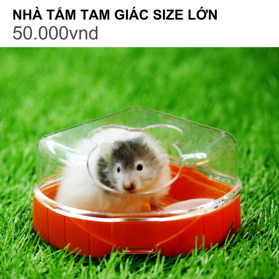 NHÀ TẮM TAM GIÁC SIZE LỚN